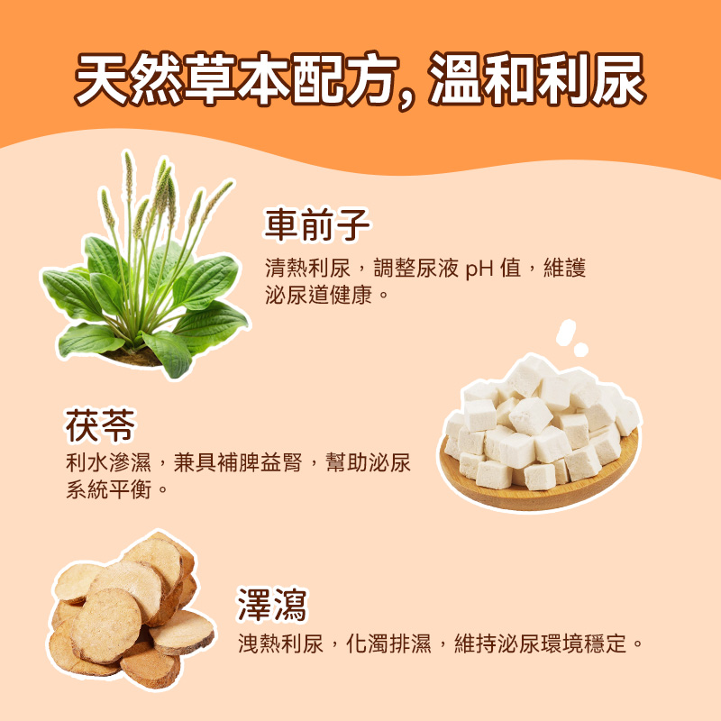 普安特蔓越莓泌能粒，寵物尿道營養補充劑