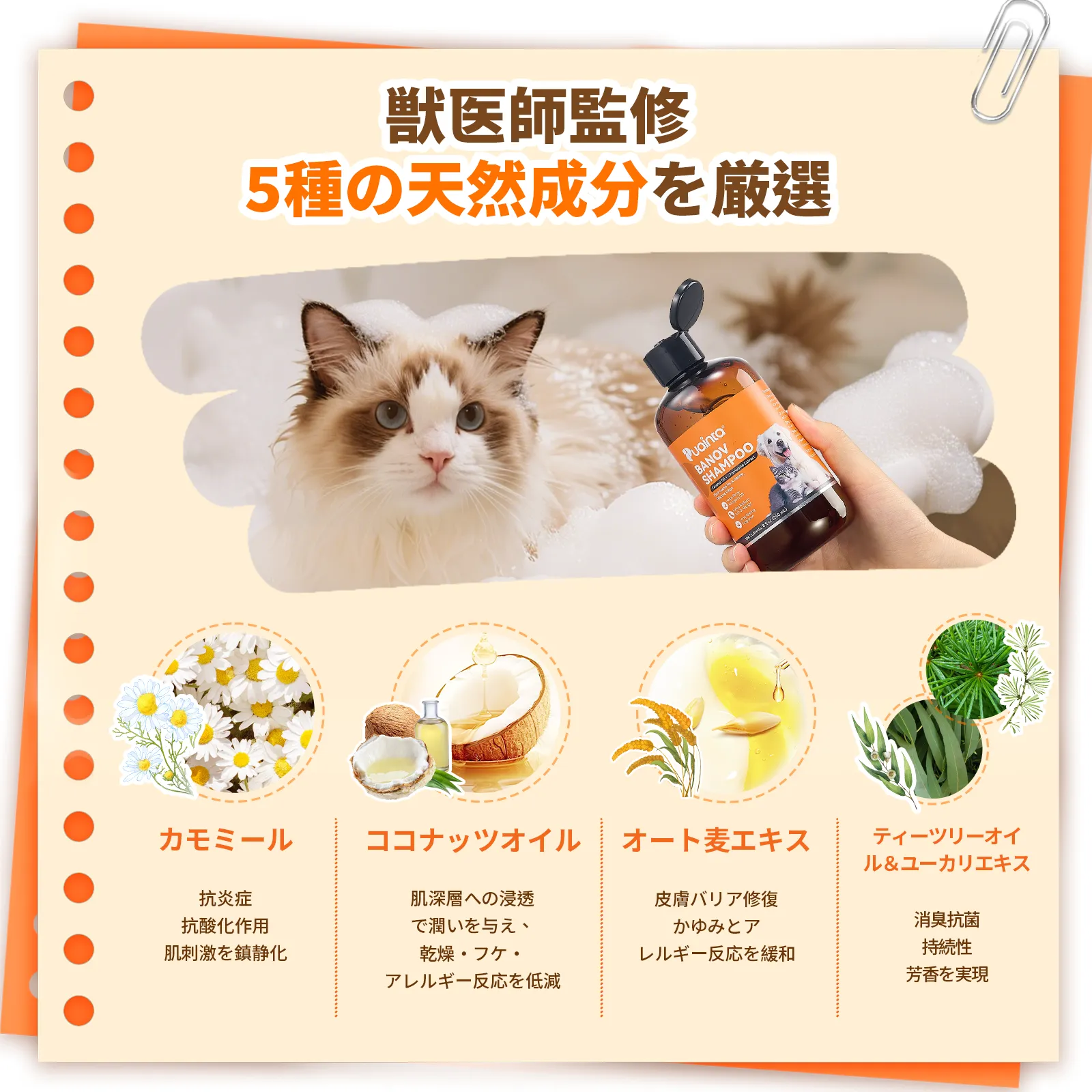 プアインタ ペット用スキンケアセット Banov低刺激シャンプー＋量子銀ケアスプレー