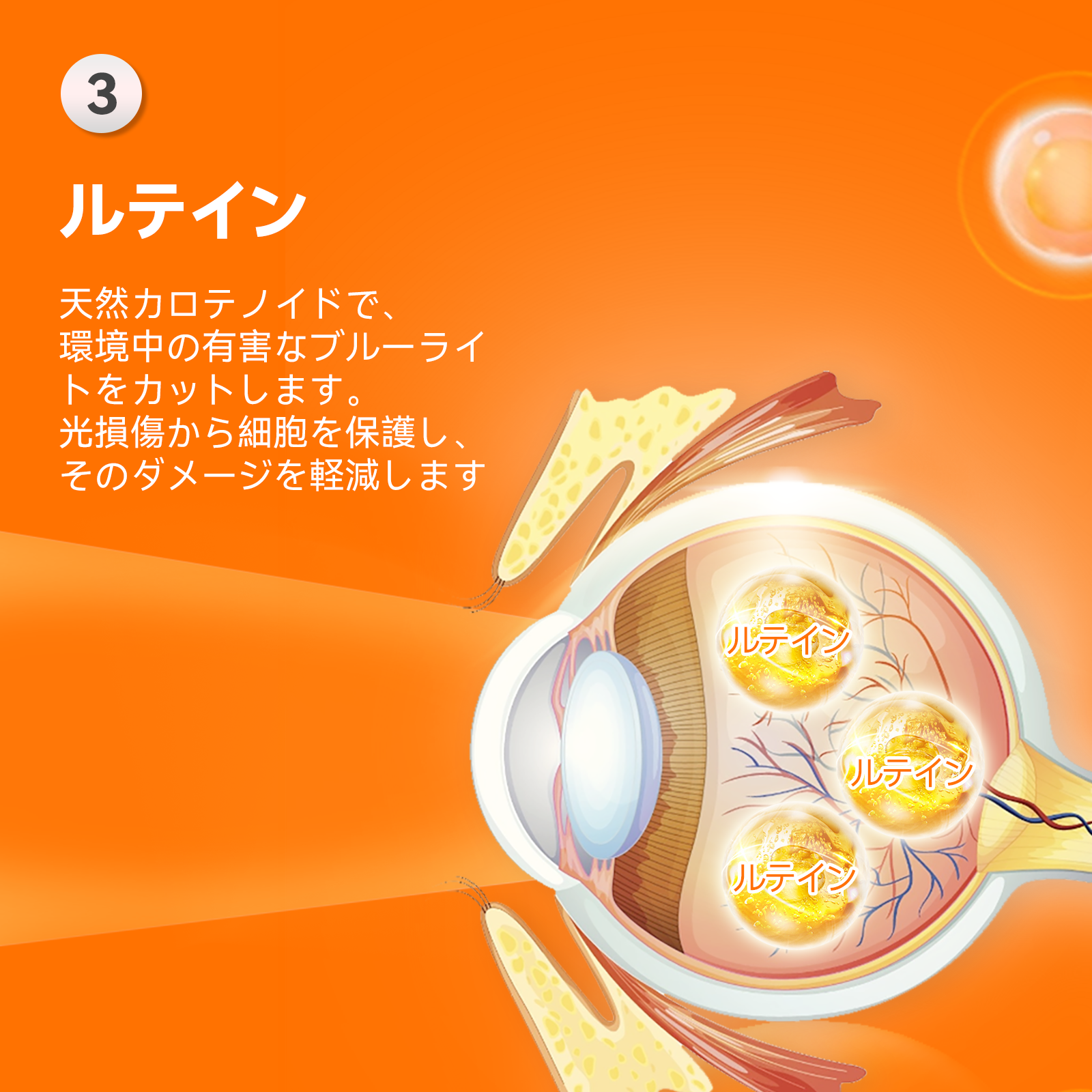 プアインタアイケア、天然ハーブエキス、やさしいケ7