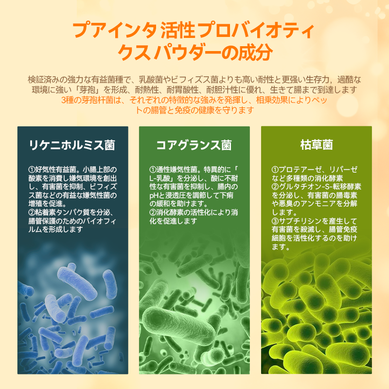 プアインタ活性プロバイオティクス パウダー