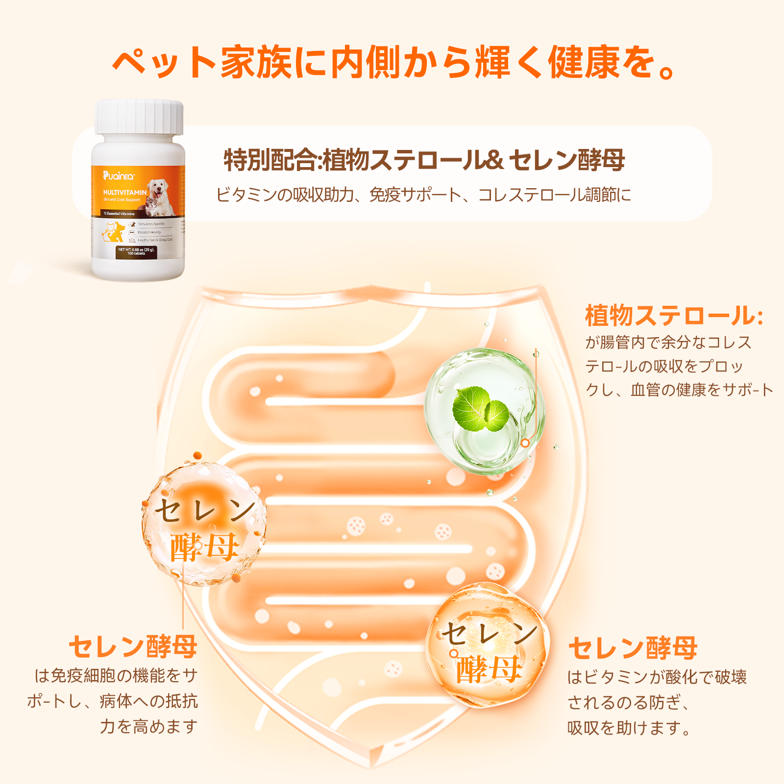 プアインタ マルチビタミン