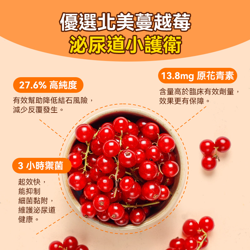 普安特蔓越莓泌能粒，寵物尿道營養補充劑