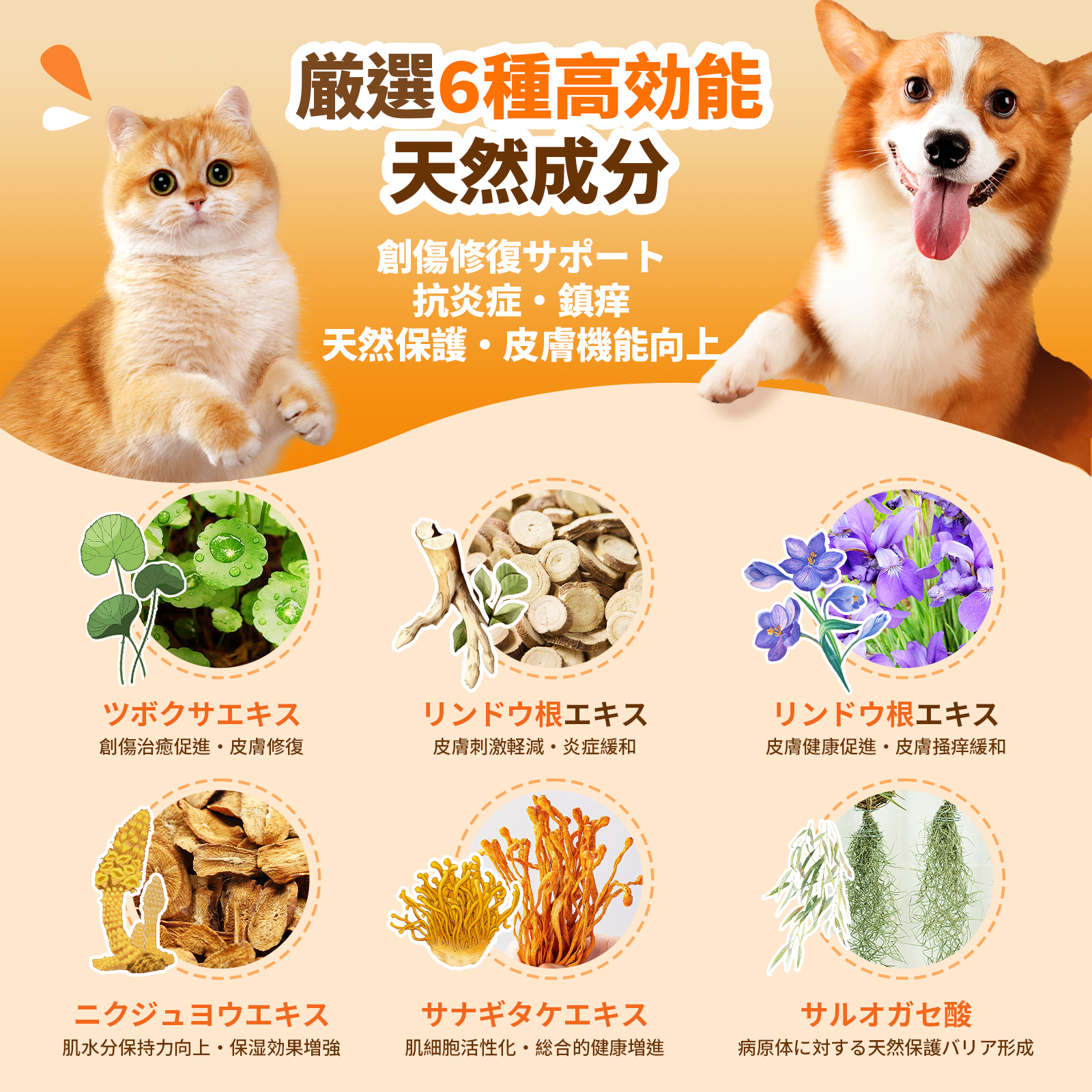 Puainta 量子银スキンスプレー（犬・猫用）