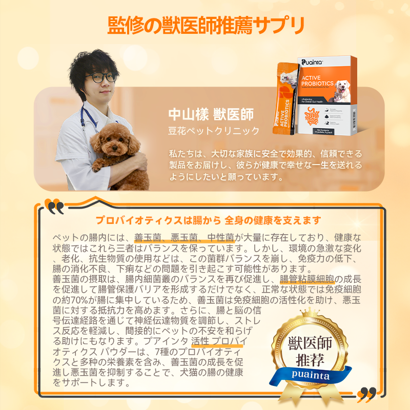 プアインタ活性プロバイオティクス パウダー