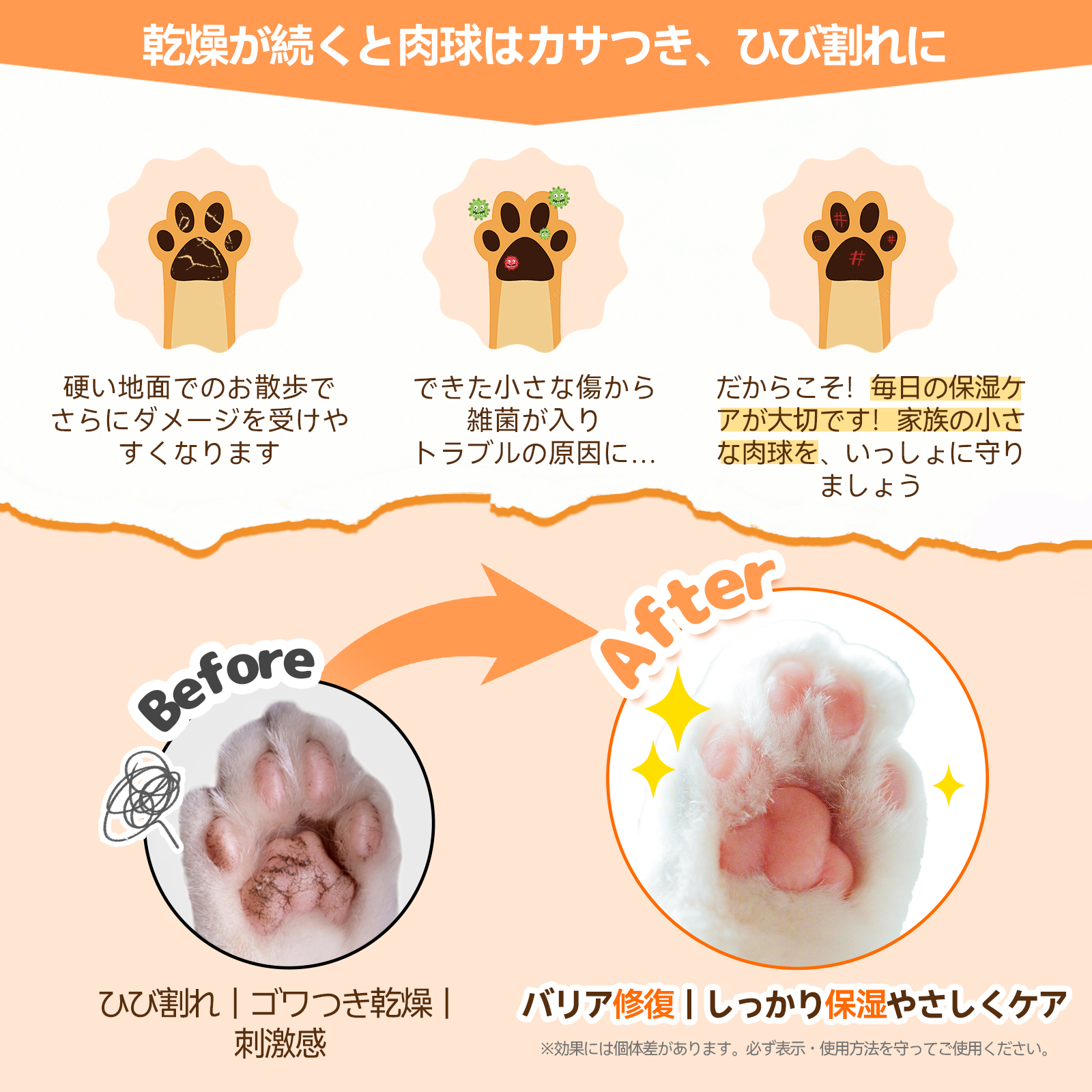 プアインタ ペット潤いミルク