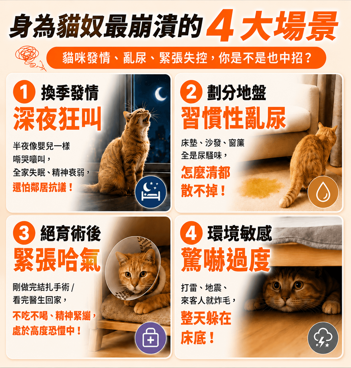 Puainta （普安特）【應激情緒專家】 貓咪費洛蒙/飛諾萌舒緩插電組 ｜ 讓家變回溫暖避風港，告別发情，乱叫，绝育，紧张，乱尿