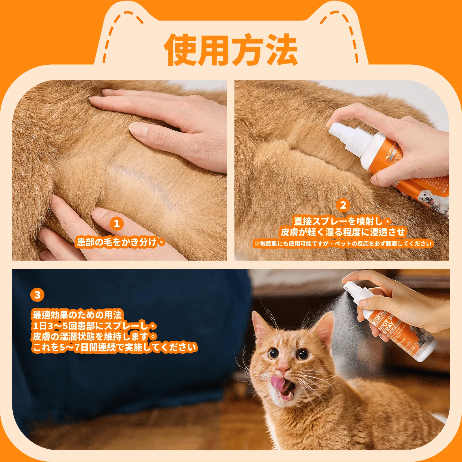 プアインタ ペット用スキンケアセット Banov低刺激シャンプー＋量子銀ケアスプレー