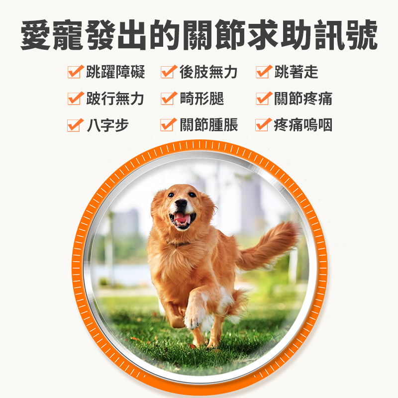 普安特 | 關節保護力維加軟骨素