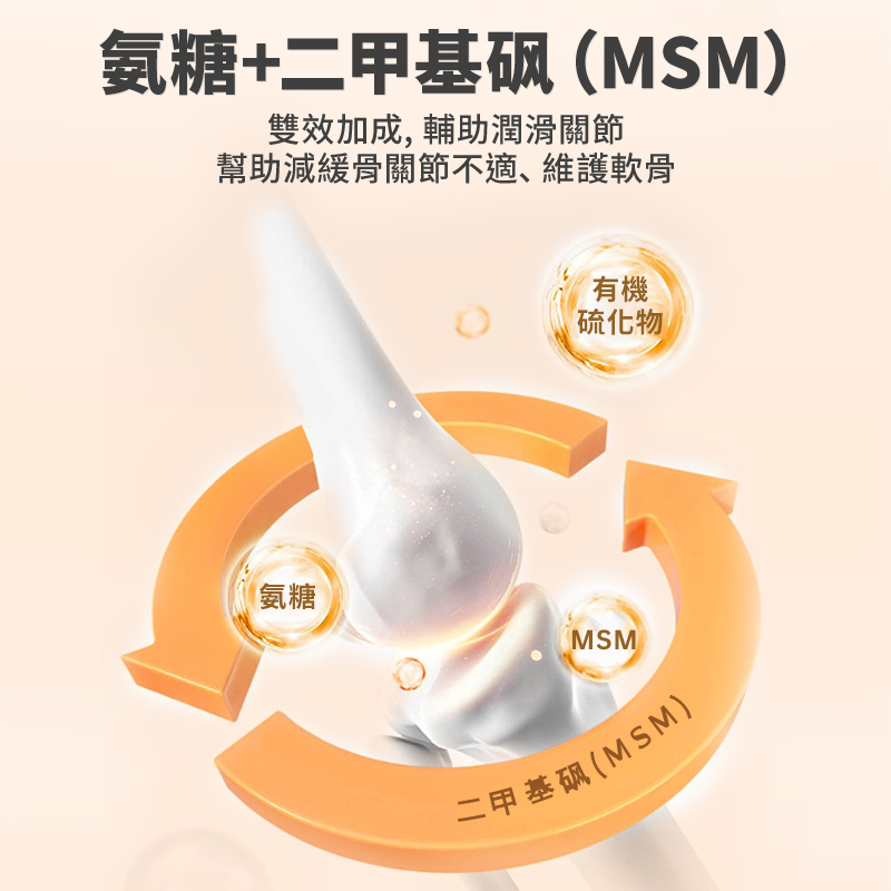 普安特 | 關節保護力維加軟骨素