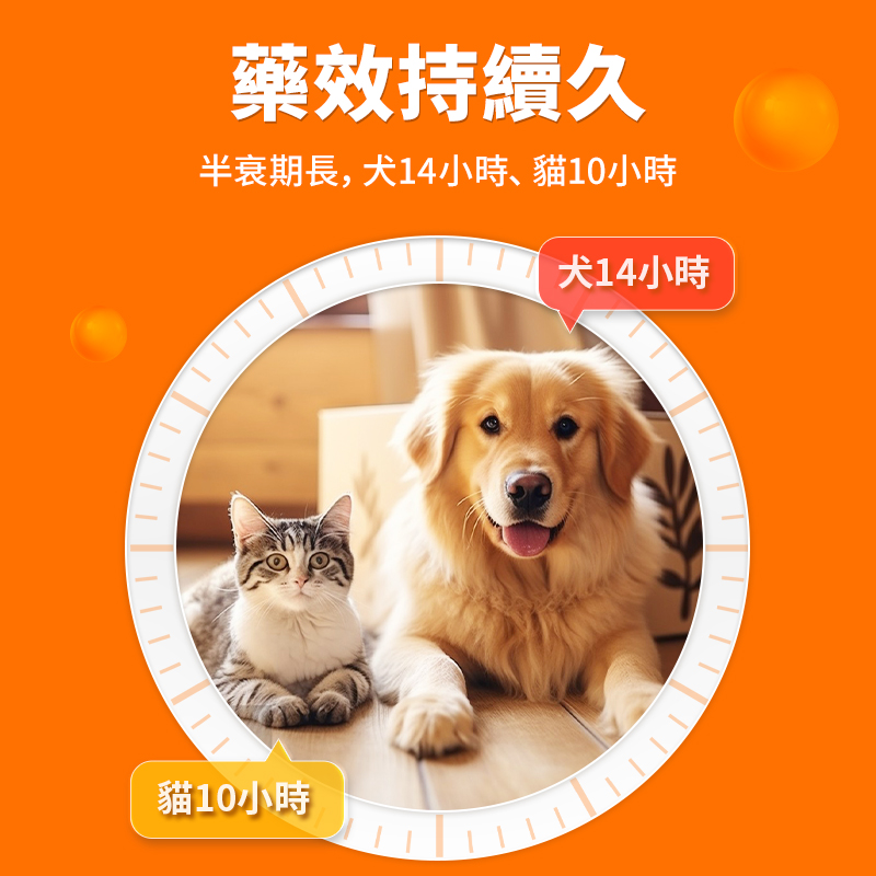 普安特馬波沙星片寵物狗狗貓咪皮膚感染創傷膿腫