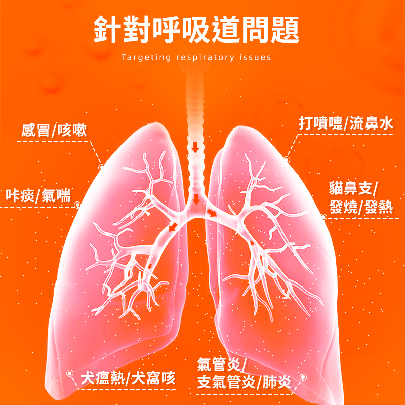 普安特阿莫西林克拉維酸鉀片