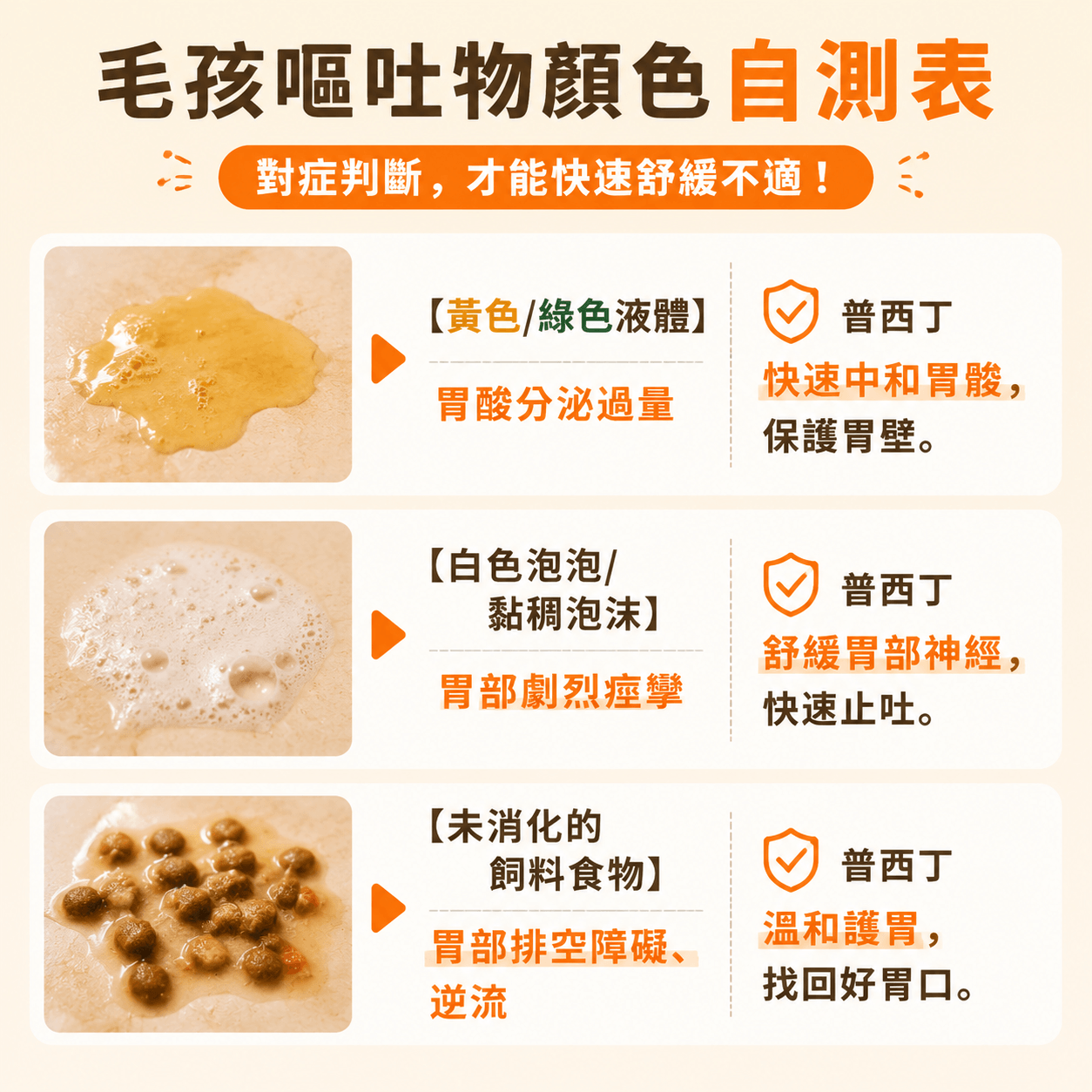 普安特強效止吐雙效組｜緩解嘔吐/吐黃水/白沫/拉稀（獸醫推薦·腸胃急救修復）