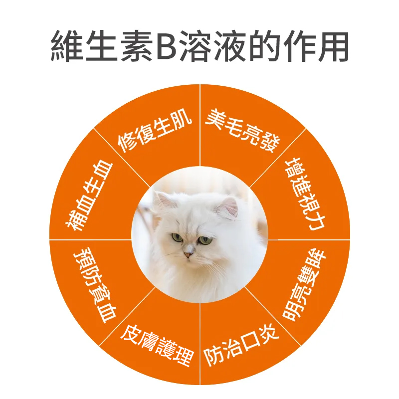 創立得皮膚創面問題趾間炎創傷修復組合