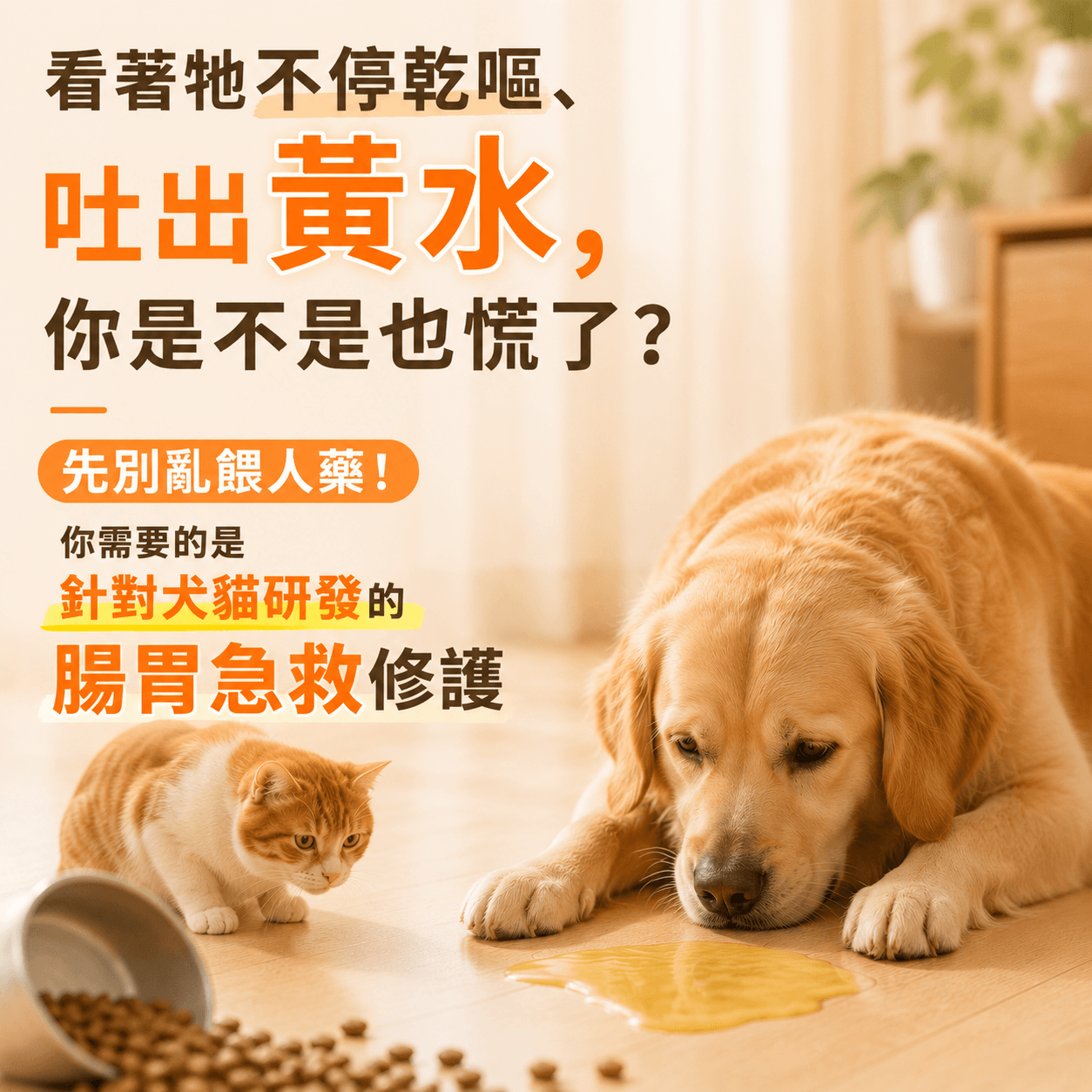 普安特強效止吐雙效組｜緩解嘔吐/吐黃水/白沫/拉稀（獸醫推薦·腸胃急救修復）