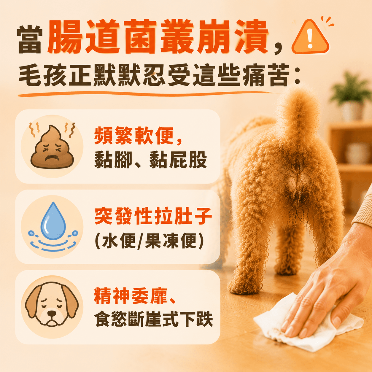 普安特強效止吐雙效組｜緩解嘔吐/吐黃水/白沫/拉稀（獸醫推薦·腸胃急救修復）