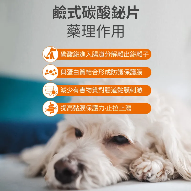 狗狗貓咪拉肚子腹瀉用藥,腸胃炎,胰髒炎用藥,腸胃調理專用益生菌