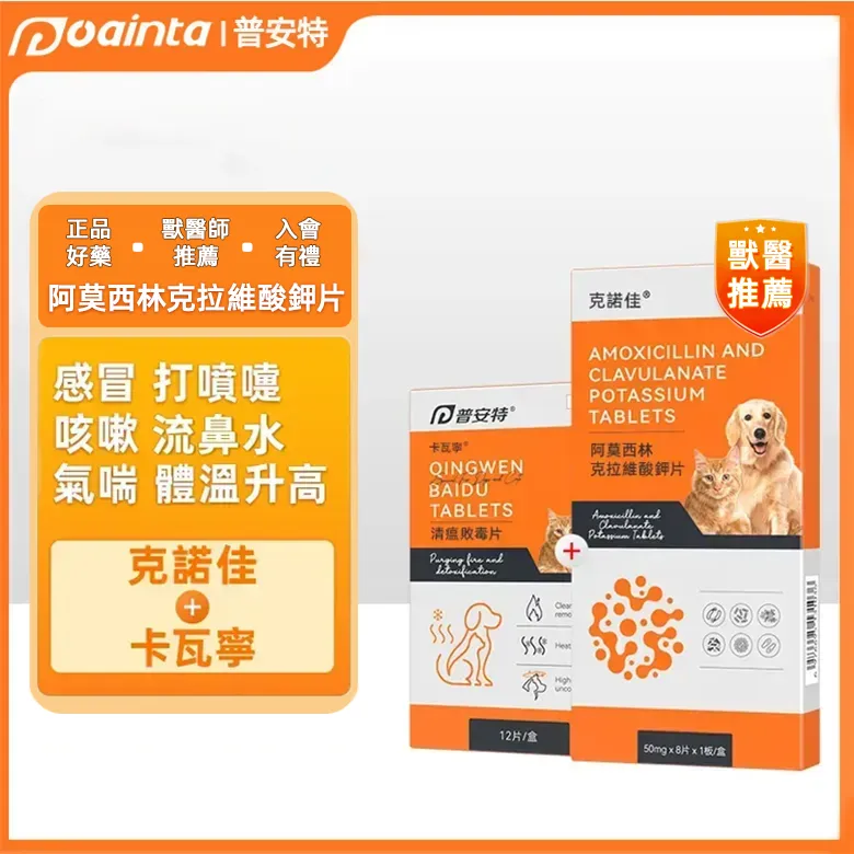 獸醫師推薦貓狗感冒用藥｜普安特克諾佳 專對付呼吸道感染引起的鼻水、噴嚏、久咳