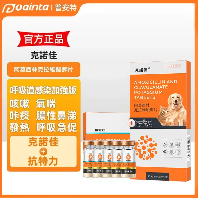 獸醫師常用的貓狗感冒用藥｜普安特克諾佳 專對付呼吸道感染引起的鼻水、噴嚏、久咳