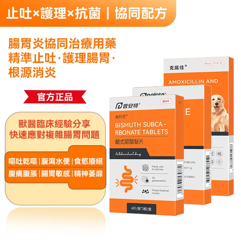 普安特·強效止吐護理,快速應對嘔吐、吐黃水與急性胃炎 90% 毛爸媽首選居家急救方案 幫助毛孩快速恢復食慾與活力