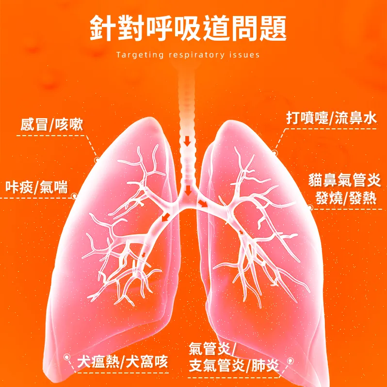 解決狗狗貓咪感冒問題｜普安特克諾佳，針對呼吸道感染，有效治疗感冒、咳嗽、鼻水、噴嚏，溫和配方