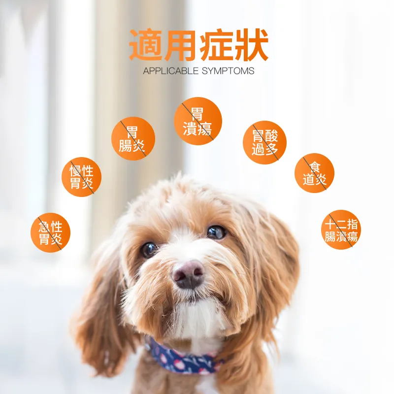 貓咪狗狗嘔吐用藥,腸胃炎用藥,腸道調理調理專用益生菌
