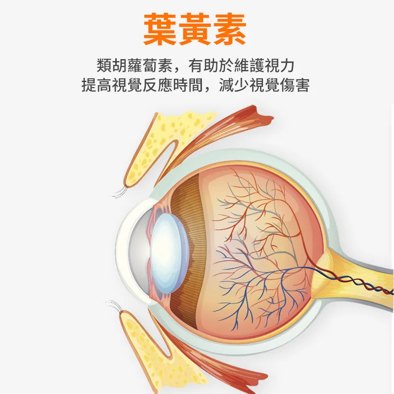 貓狗貝朗明滴眼液+閃晶潔眼液,眼睛發炎,流眼淚,淚痕,白內障眼藥水推薦
