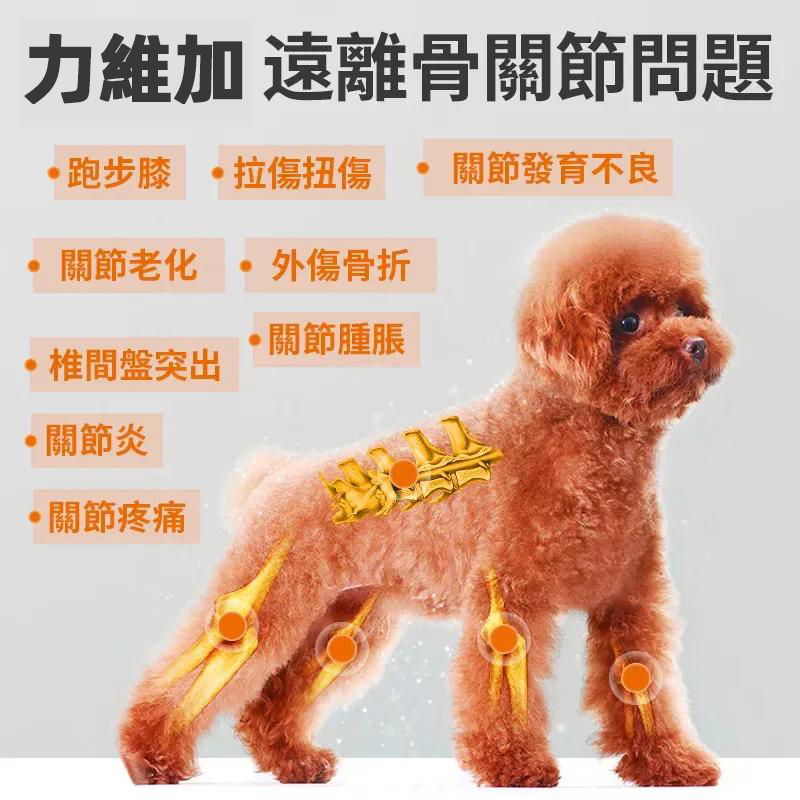 普安特芬美洛(美洛昔康片)寵物關節止疼片,關節炎,跛腳,腿無力,软骨用药,補鈣護理套裝