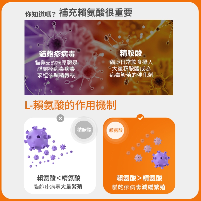 普安特寵物貓咪貓鼻支賴氨酸片維持抵抗力寵物營養補充劑200片