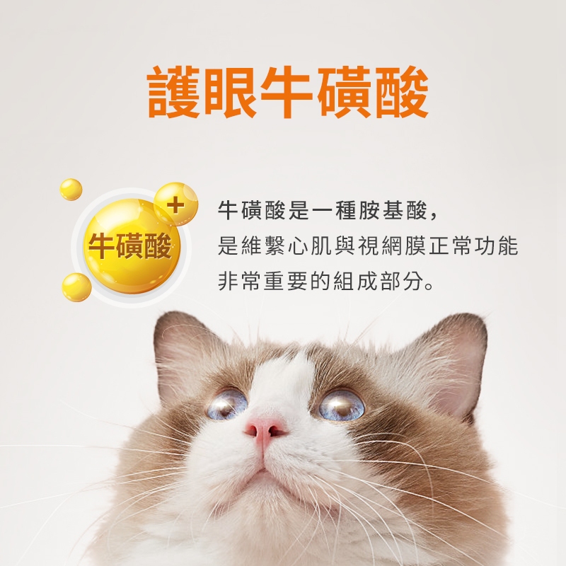 普安特寵物貓咪貓鼻支賴氨酸片維持抵抗力寵物營養補充劑200片