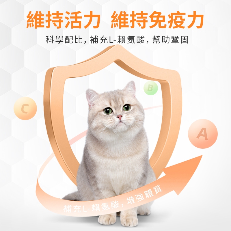 普安特寵物貓咪貓鼻支賴氨酸片維持抵抗力寵物營養補充劑200片