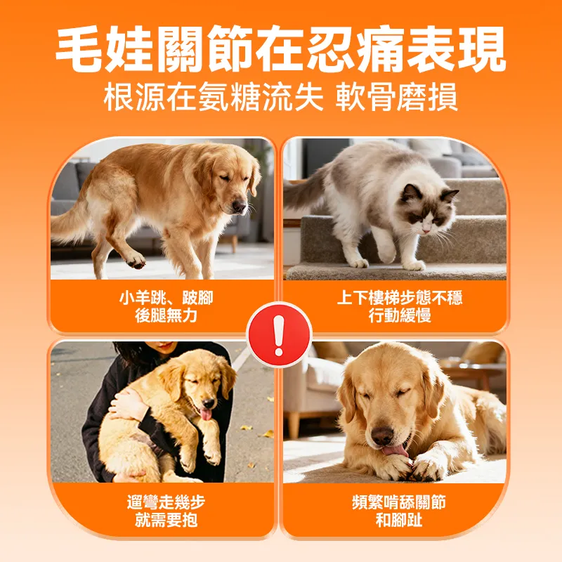 普安特舒节利 宠物液体醫護版关节软骨素 修复关节 滋养软骨