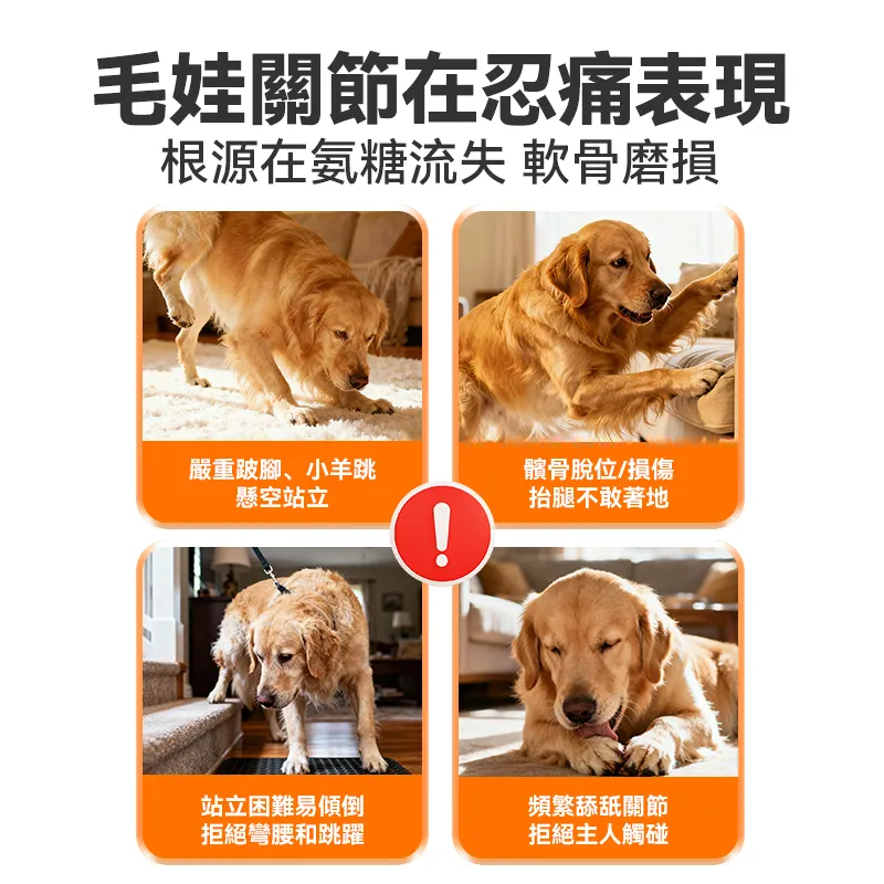 普安特強化醫護版 犬用關節軟骨素 修復關節損傷 高效滋養關節
