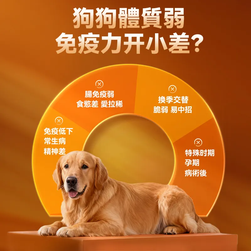 普安特犬用乳鐵蛋白 0 乳糖營養補充 增強抵抗力 提升免疫