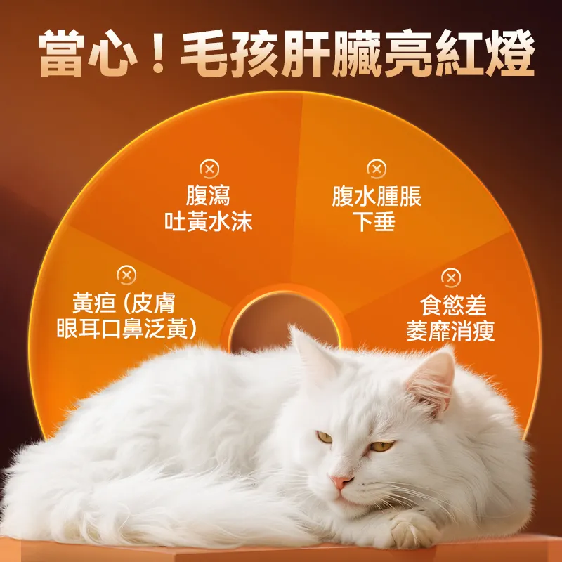 普安特寵物護肝片 補血肝精 護肝養肝保肝 依普莎肝寶片