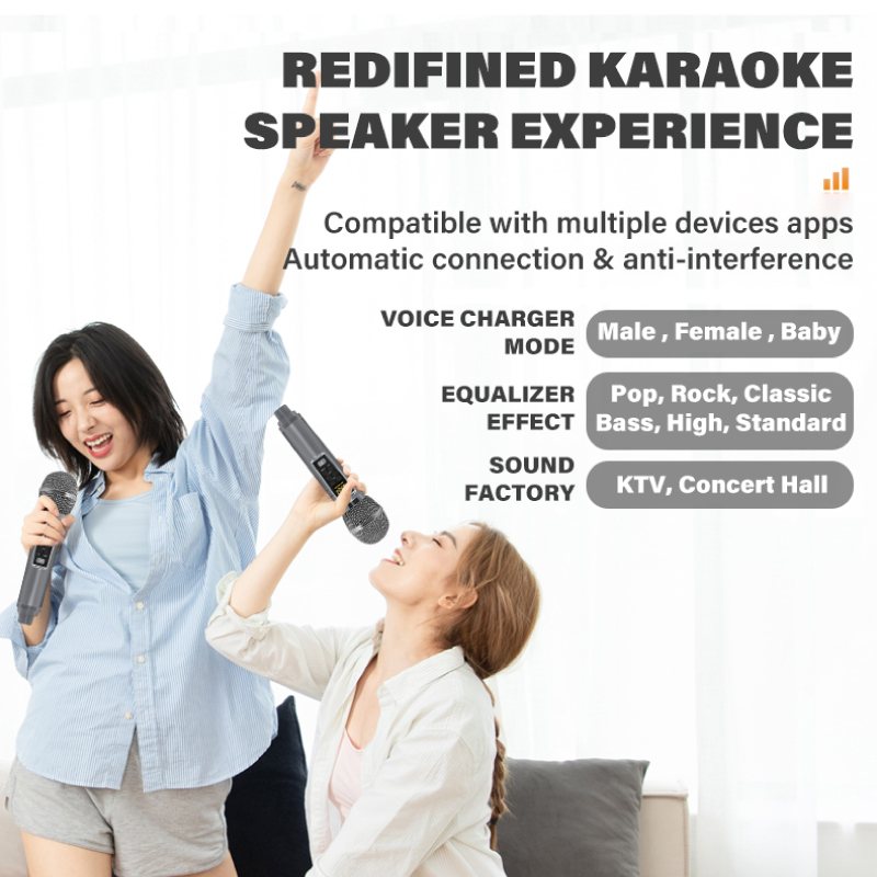 Diginut DK-300 Dual Microphone Karaoke Wireless Speaker Blue