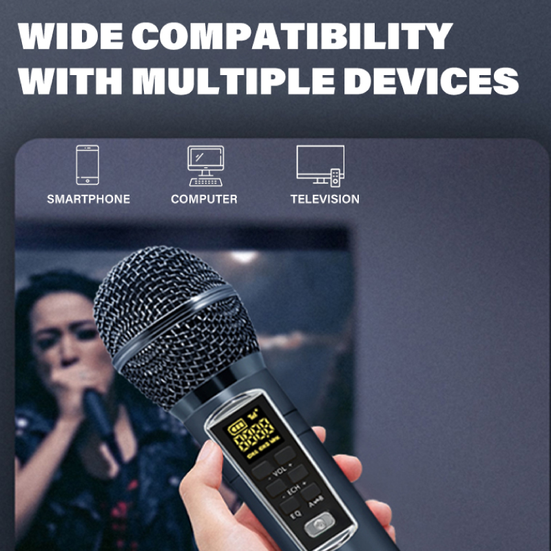 Diginut DK-300 Dual Microphone Karaoke Wireless Speaker Blue