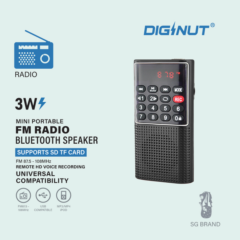 Diginut BM-01 Portable FM Radio Mini Digital Speaker USB Rechargeable Compact Black