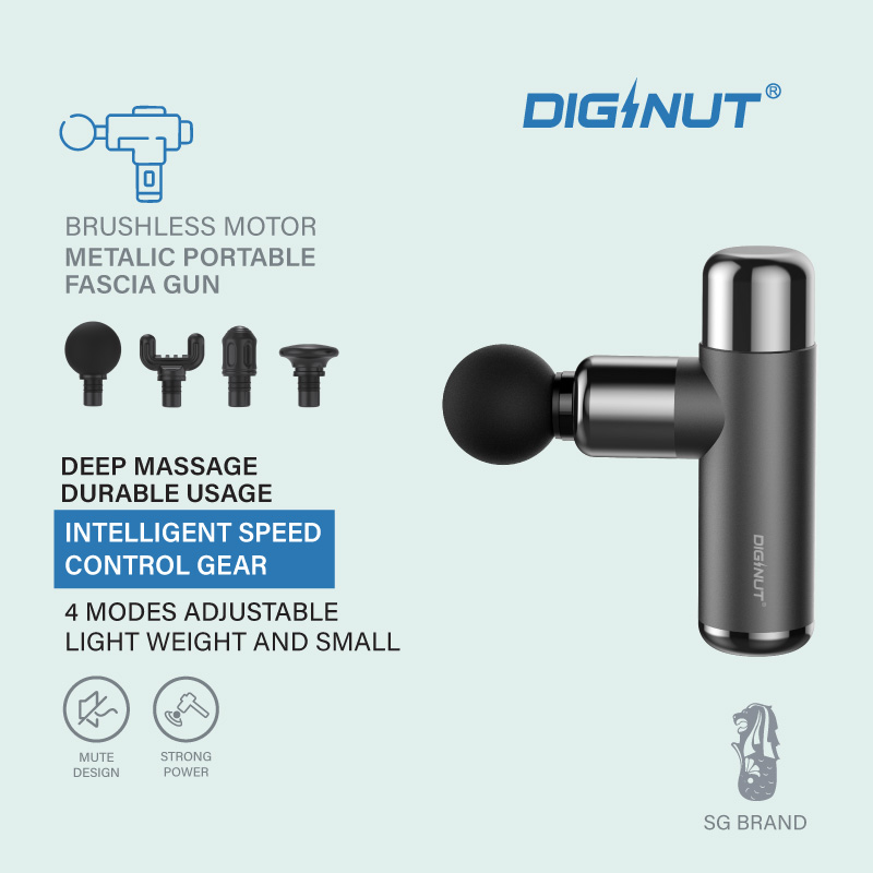 Diginut MS-10 Metallic Portable Fascia Gun Gray Black