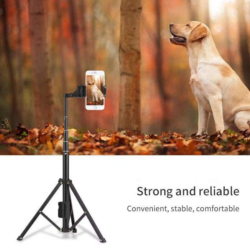 Diginut-SD-118 2IN1 Portable Selfie Monopod&Tripod Stick/Bluetooth Remote Controller/Phone&Camera/52mm-102mm
