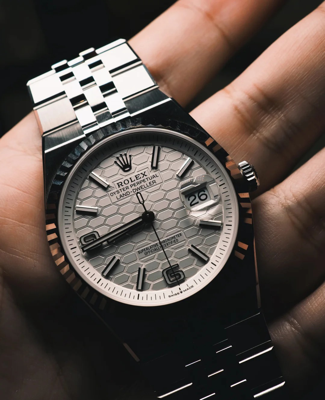 Land-Dweller 40 mm 127334
