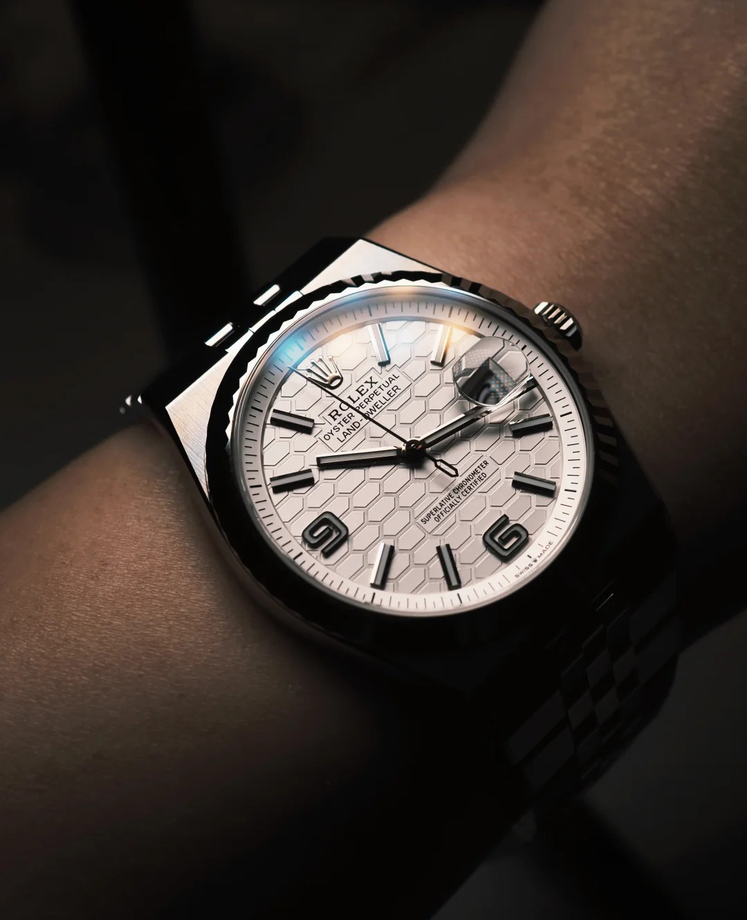 Land-Dweller 40 mm 127334
