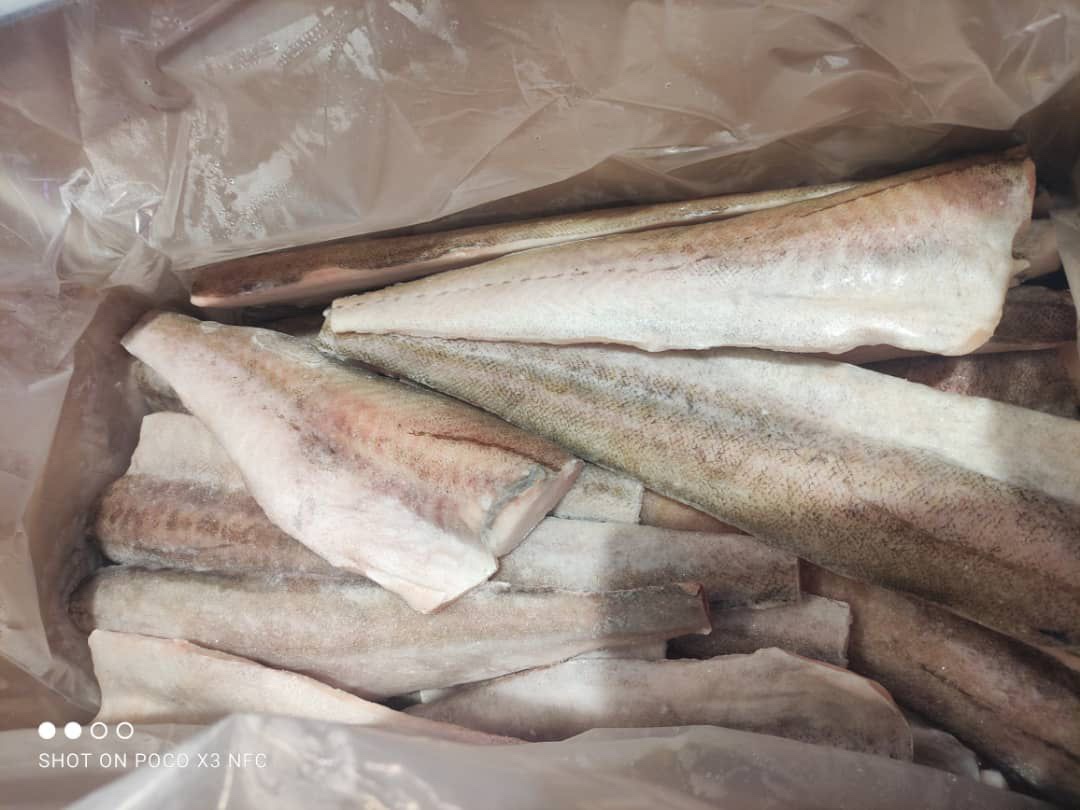 Frozen Pacific Cod Fish Fillet From Aomori 10kg Box