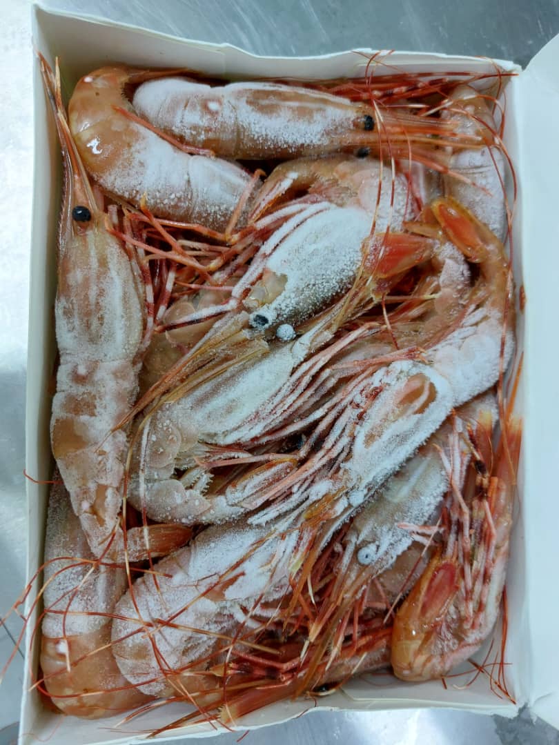 Canadian Walcan Botan Ebi L 30-32pcs 1kg