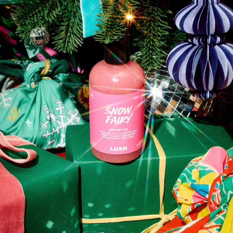 Snow Fairy