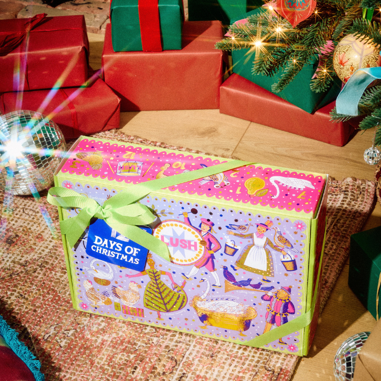 12 Days Of Christmas