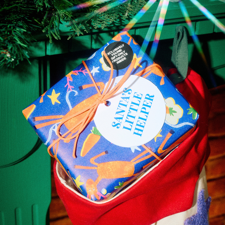 Santa's Little Helper