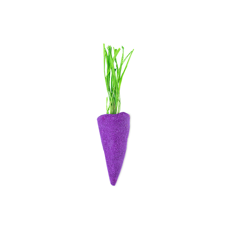 Baby Rainbow Carrot-Purple