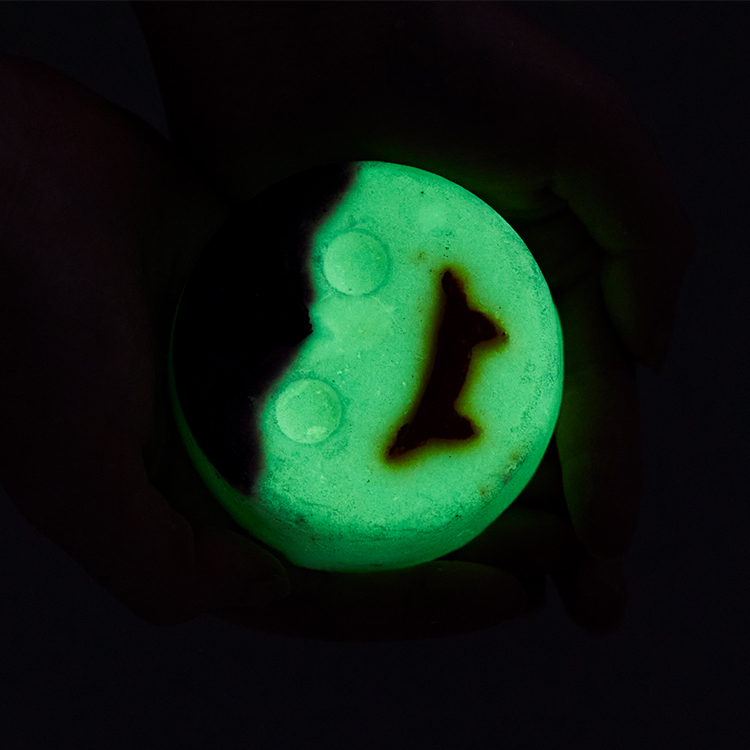 Image 217: Bubble Lugosi