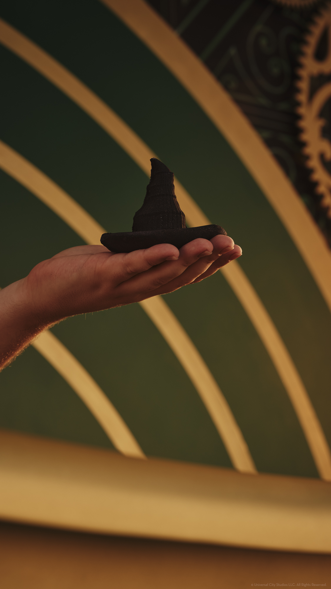 Image 133: Elphaba's Hat