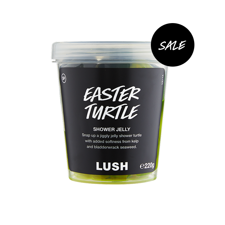 Easter Turtle